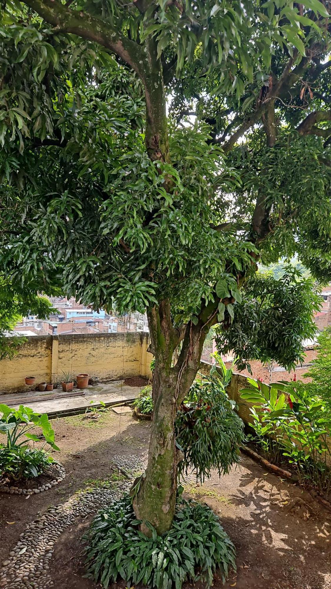 Casa Alba Hotel Cali Luaran gambar